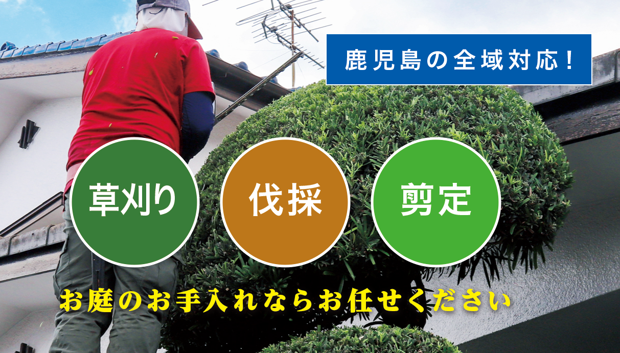 東串良町で草刈り・剪定・伐採なら「お庭の大将」